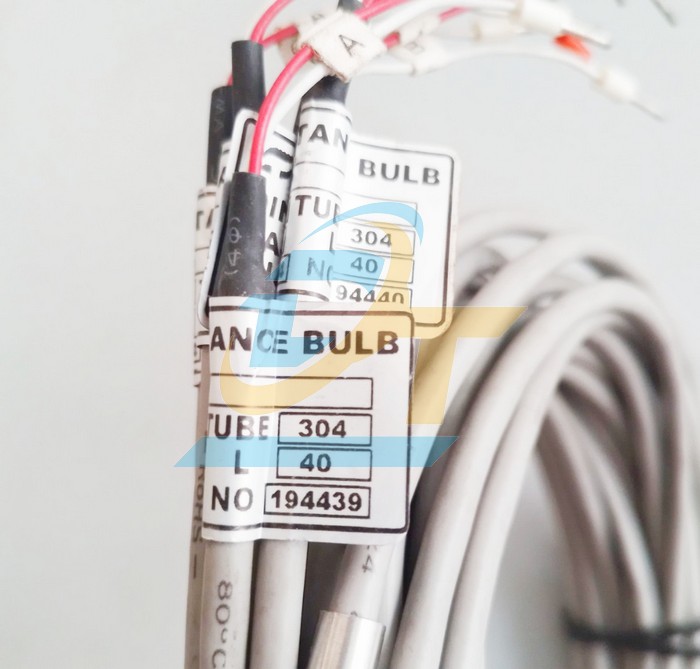 Cảm biến nhiệt độ PT100 2W M6x40mm - C&aacute;p ra 1500mm  VietNam | Gi&aacute; rẻ nhất - C&ocirc;ng Ty TNHH Thương Mại Dịch Vụ Đạt T&acirc;m