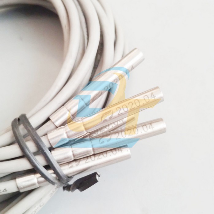 Cảm biến nhiệt độ PT100 2W M6x40mm - C&aacute;p ra 1500mm  VietNam | Gi&aacute; rẻ nhất - C&ocirc;ng Ty TNHH Thương Mại Dịch Vụ Đạt T&acirc;m