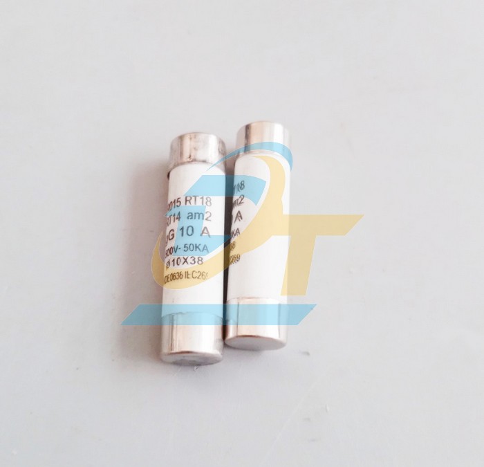 Cầu ch&igrave; sứ 10x38 China 10A  China | Gi&aacute; rẻ nhất - C&ocirc;ng Ty TNHH Thương Mại Dịch Vụ Đạt T&acirc;m