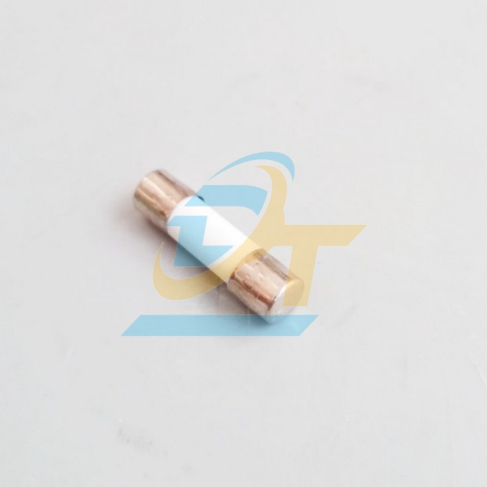 Cầu ch&igrave; sứ 5x20 China 10A  China | Gi&aacute; rẻ nhất - C&ocirc;ng Ty TNHH Thương Mại Dịch Vụ Đạt T&acirc;m