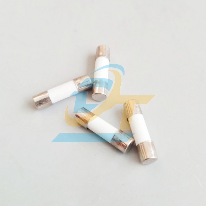 Cầu ch&igrave; sứ 5x20 China 10A  China | Gi&aacute; rẻ nhất - C&ocirc;ng Ty TNHH Thương Mại Dịch Vụ Đạt T&acirc;m