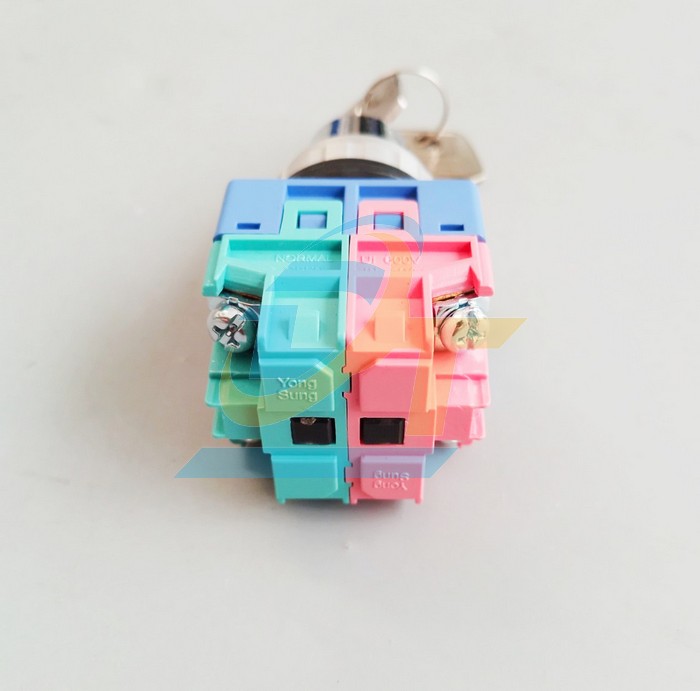 C&ocirc;ng tắc xoay 2 vị tr&iacute; c&oacute; ch&igrave;a kh&oacute;a Yongsung YSAK2-211 YSAK2-211 YONGSUNG | Gi&aacute; rẻ nhất - C&ocirc;ng Ty TNHH Thương Mại Dịch Vụ Đạt T&acirc;m