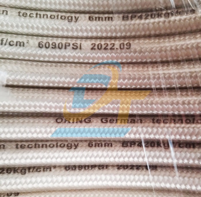 D&acirc;y xịt m&aacute;y rửa xe 6mmx30m ren trong 22mm  Germany | Gi&aacute; rẻ nhất - C&ocirc;ng Ty TNHH Thương Mại Dịch Vụ Đạt T&acirc;m