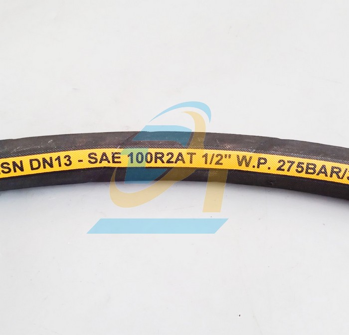 Ống tuy &ocirc; thủy lực 2 lớp bố Dynexflex 1/2"x1000mm bấm 2 đầu ren trong 19 c&ocirc;n l&otilde;m  DYNEXFLEX | Gi&aacute; rẻ nhất - C&ocirc;ng Ty TNHH Thương Mại Dịch Vụ Đạt T&acirc;m