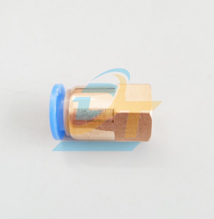 Đầu nối hơi thẳng ren trong 13 ống 10 China CF10-02  China | Gi&aacute; rẻ nhất - C&ocirc;ng Ty TNHH Thương Mại Dịch Vụ Đạt T&acirc;m