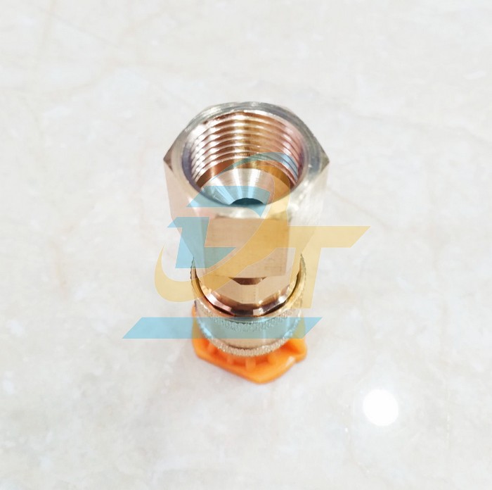 Khớp nối nhanh b&eacute;c xịt m&aacute;y rửa xe 1/4" - Ren trong 13mm (Đầu c&aacute;i)  VietNam | Gi&aacute; rẻ nhất - C&ocirc;ng Ty TNHH Thương Mại Dịch Vụ Đạt T&acirc;m