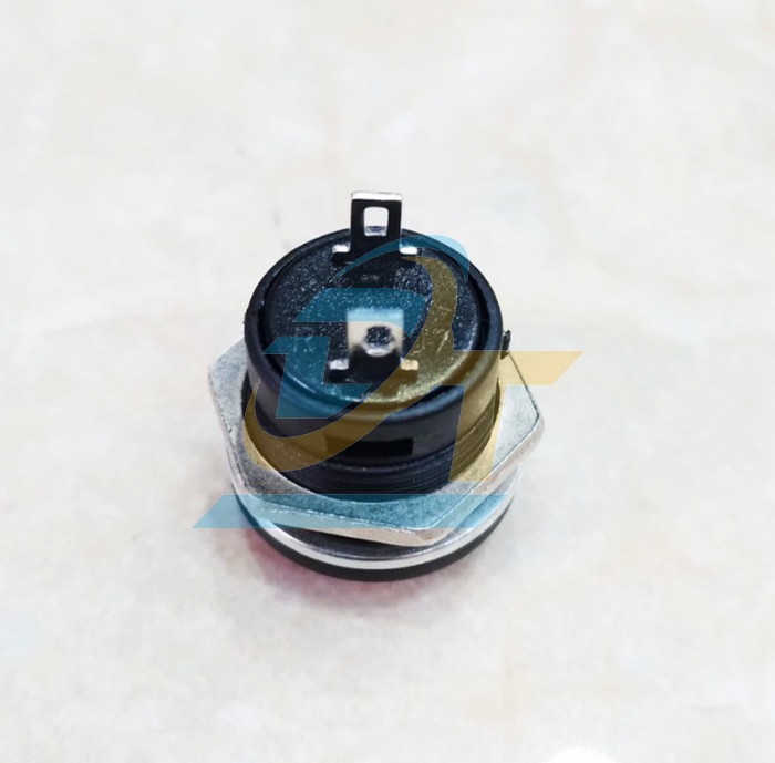 N&uacute;t nhấn nhả 16mm 3A 250V 2 ch&acirc;n R13-507  China | Gi&aacute; rẻ nhất - C&ocirc;ng Ty TNHH Thương Mại Dịch Vụ Đạt T&acirc;m