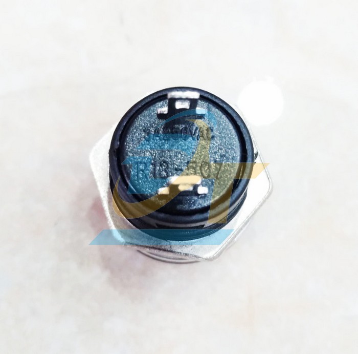 N&uacute;t nhấn nhả 16mm 3A 250V 2 ch&acirc;n R13-507  China | Gi&aacute; rẻ nhất - C&ocirc;ng Ty TNHH Thương Mại Dịch Vụ Đạt T&acirc;m