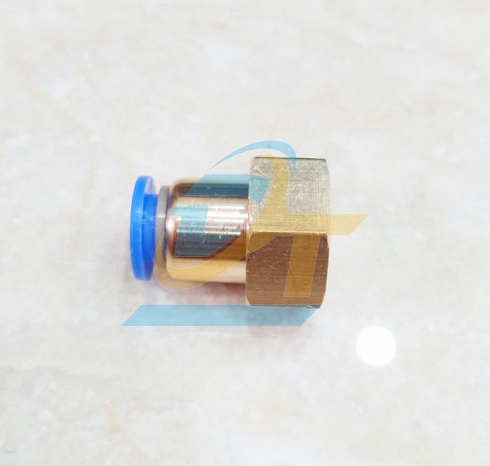 Đầu nối hơi thẳng ren trong 21 ống 10 China CF10-04  China | Gi&aacute; rẻ nhất - C&ocirc;ng Ty TNHH Thương Mại Dịch Vụ Đạt T&acirc;m