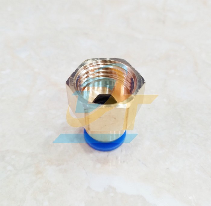 Đầu nối hơi thẳng ren trong 21 ống 10 China CF10-04  China | Gi&aacute; rẻ nhất - C&ocirc;ng Ty TNHH Thương Mại Dịch Vụ Đạt T&acirc;m