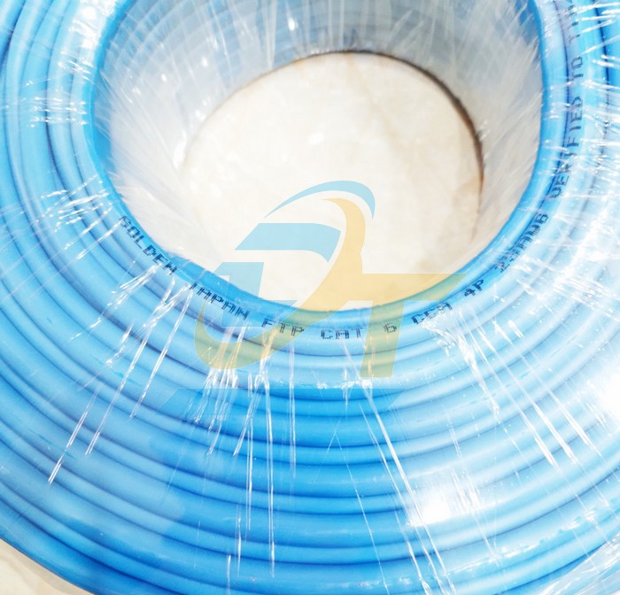 C&aacute;p mạng chống nhiễu Golden Japan FTP CAT6 100m  GOLDEN-JAPAN | Gi&aacute; rẻ nhất - C&ocirc;ng Ty TNHH Thương Mại Dịch Vụ Đạt T&acirc;m
