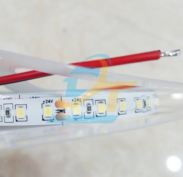 Đ&egrave;n led d&acirc;y 2835-120LED 24V 6000K (Cuộn 5m)  China | Gi&aacute; rẻ nhất - C&ocirc;ng Ty TNHH Thương Mại Dịch Vụ Đạt T&acirc;m