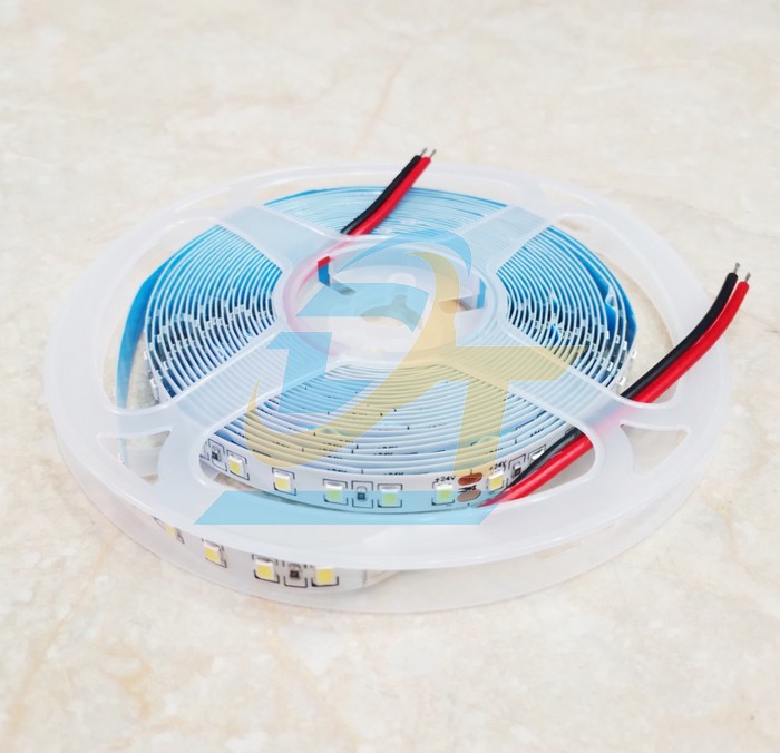 Đ&egrave;n led d&acirc;y 2835-120LED 24V 6000K (Cuộn 5m)  China | Gi&aacute; rẻ nhất - C&ocirc;ng Ty TNHH Thương Mại Dịch Vụ Đạt T&acirc;m