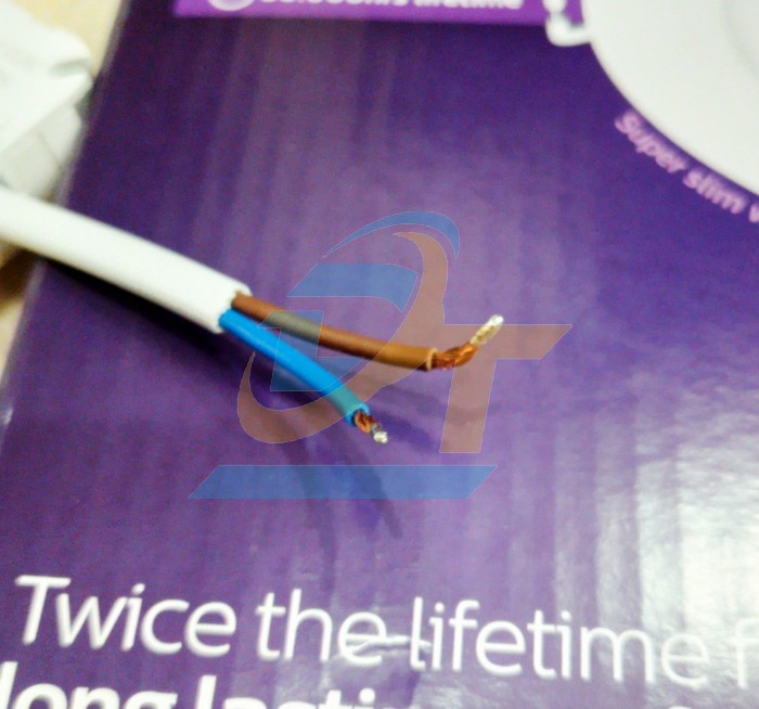 Đ&egrave;n led Downlight &acirc;m trần 12W 6500K Philips DL262 EC RD 150  Philips | Gi&aacute; rẻ nhất - C&ocirc;ng Ty TNHH Thương Mại Dịch Vụ Đạt T&acirc;m