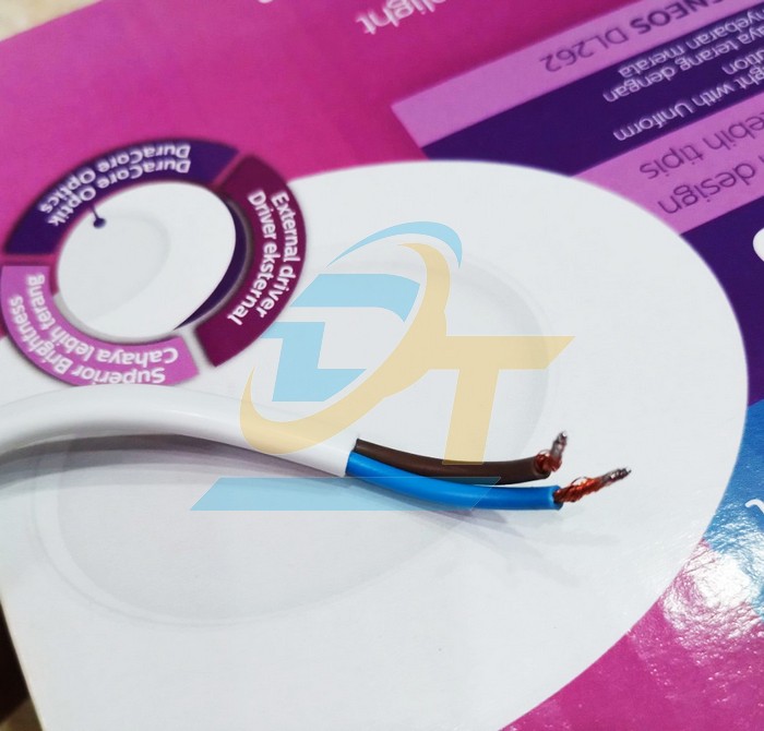 Đ&egrave;n led Downlight &acirc;m trần 6W 6500K Philips DL262 EC RD 100  Philips | Gi&aacute; rẻ nhất - C&ocirc;ng Ty TNHH Thương Mại Dịch Vụ Đạt T&acirc;m