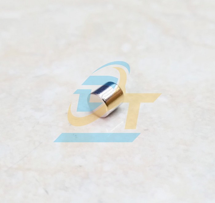 Nam ch&acirc;m vi&ecirc;n 8x8mm  VietNam | Gi&aacute; rẻ nhất - C&ocirc;ng Ty TNHH Thương Mại Dịch Vụ Đạt T&acirc;m