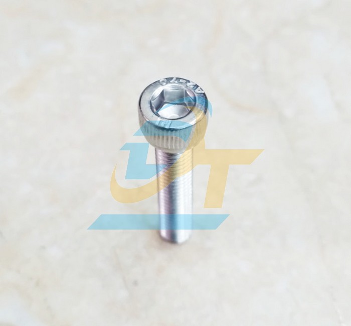 Bulong lục gi&aacute;c ch&igrave;m đầu trụ inox 304 M8x25  VietNam | Gi&aacute; rẻ nhất - C&ocirc;ng Ty TNHH Thương Mại Dịch Vụ Đạt T&acirc;m