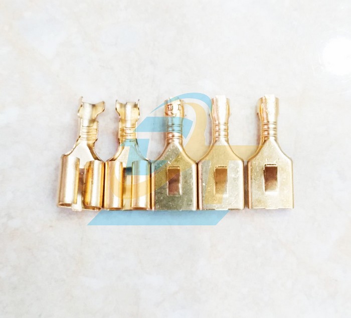 Đế Relay 5 ch&acirc;n &ocirc; t&ocirc;  Taiwan | Gi&aacute; rẻ nhất - C&ocirc;ng Ty TNHH Thương Mại Dịch Vụ Đạt T&acirc;m