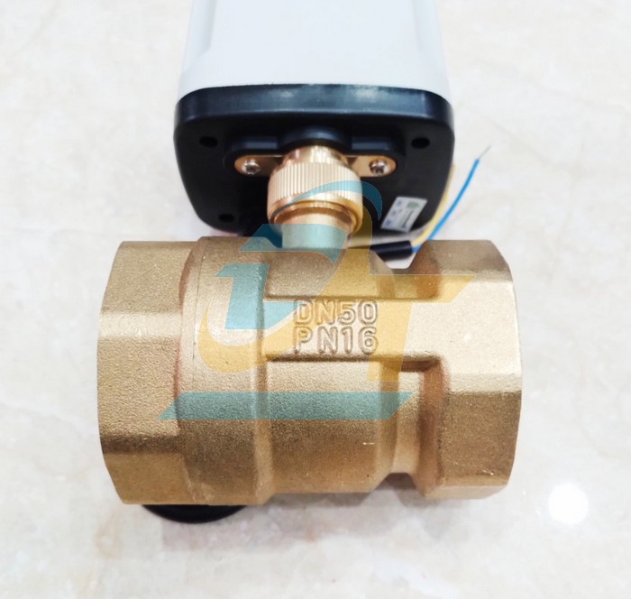 Van bi đồng xoay điều khiển bằng điện 220V DN50  China | Gi&aacute; rẻ nhất - C&ocirc;ng Ty TNHH Thương Mại Dịch Vụ Đạt T&acirc;m