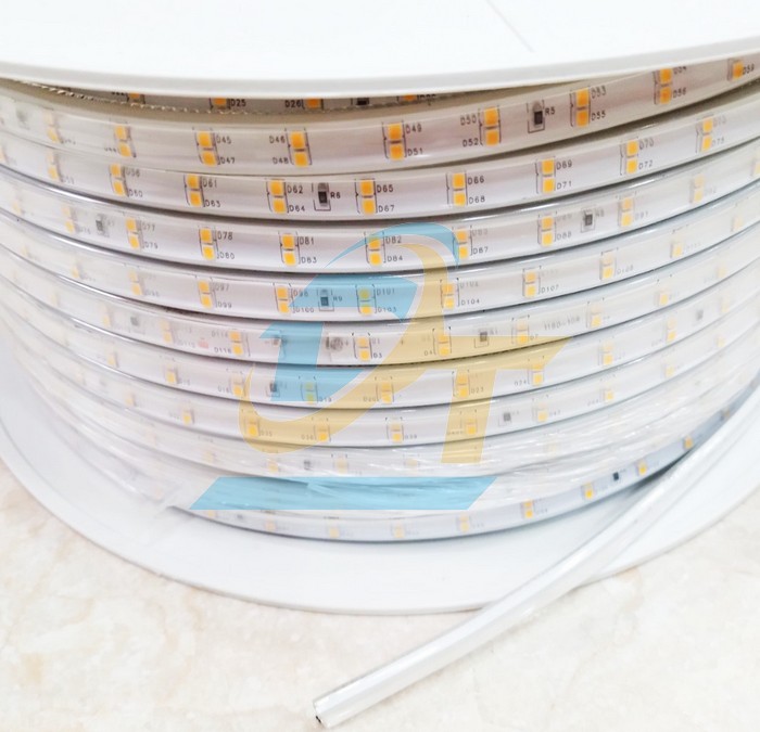 Đ&egrave;n led d&acirc;y 3030 220V 2 h&agrave;ng &aacute;nh s&aacute;ng trắng 100m  China | Gi&aacute; rẻ nhất - C&ocirc;ng Ty TNHH Thương Mại Dịch Vụ Đạt T&acirc;m