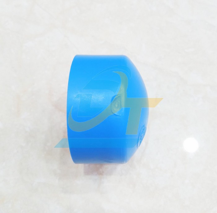 Nắp b&iacute;t trơn PPR B&igrave;nh Minh 50  NhuaBinhMinh | Gi&aacute; rẻ nhất - C&ocirc;ng Ty TNHH Thương Mại Dịch Vụ Đạt T&acirc;m