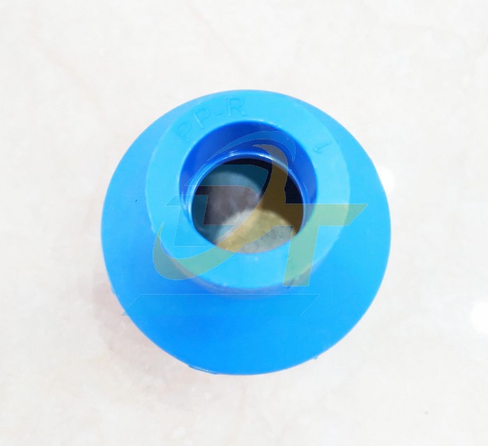 Nối r&uacute;t trơn PPR B&igrave;nh Minh 50x25  NhuaBinhMinh | Gi&aacute; rẻ nhất - C&ocirc;ng Ty TNHH Thương Mại Dịch Vụ Đạt T&acirc;m