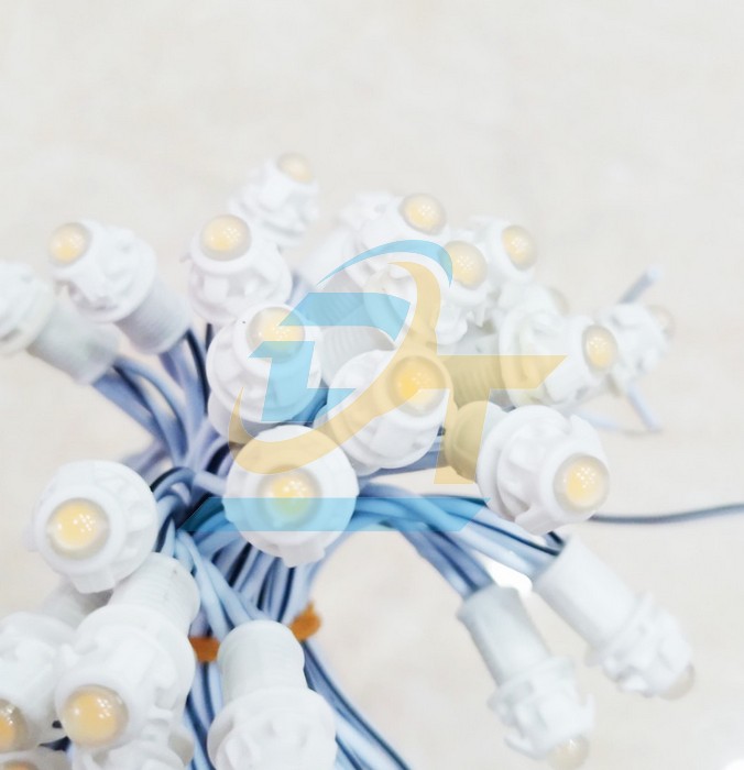 Đ&egrave;n Led đ&uacute;c F5 12V đế 9mm 50 b&oacute;ng  China | Gi&aacute; rẻ nhất - C&ocirc;ng Ty TNHH Thương Mại Dịch Vụ Đạt T&acirc;m