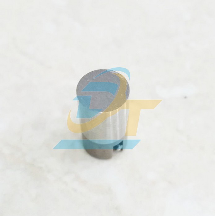 Nấm hơi (S&uacute;p bắp hơi) D8  China | Gi&aacute; rẻ nhất - C&ocirc;ng Ty TNHH Thương Mại Dịch Vụ Đạt T&acirc;m