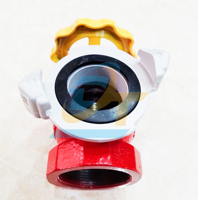 Van g&oacute;c chữa ch&aacute;y DN50 Tomoken 33-FCD-5090A  TOMOKEN | Gi&aacute; rẻ nhất - C&ocirc;ng Ty TNHH Thương Mại Dịch Vụ Đạt T&acirc;m