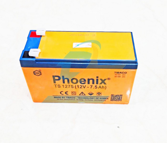 Ắc quy kh&ocirc; 12V 7.5Ah Phoenix TS1275  PHOENIX | Gi&aacute; rẻ nhất - C&ocirc;ng Ty TNHH Thương Mại Dịch Vụ Đạt T&acirc;m