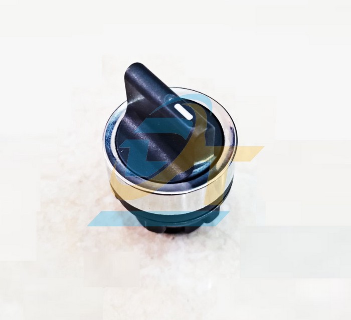 C&ocirc;ng tắc xoay 2 vị tr&iacute; 22mm Schneider XA2ED25  SCHNEIDER | Gi&aacute; rẻ nhất - C&ocirc;ng Ty TNHH Thương Mại Dịch Vụ Đạt T&acirc;m