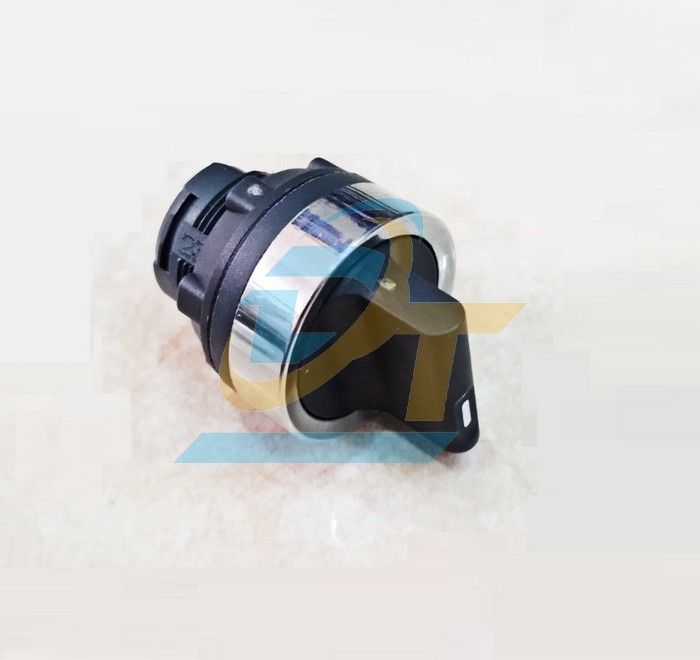 C&ocirc;ng tắc xoay 2 vị tr&iacute; 22mm Schneider XA2ED25  SCHNEIDER | Gi&aacute; rẻ nhất - C&ocirc;ng Ty TNHH Thương Mại Dịch Vụ Đạt T&acirc;m