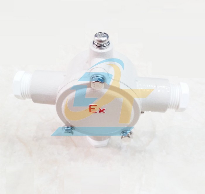 Đ&egrave;n ph&ograve;ng chống nổ 220V EEW BPY 2x36  EEW | Gi&aacute; rẻ nhất - C&ocirc;ng Ty TNHH Thương Mại Dịch Vụ Đạt T&acirc;m