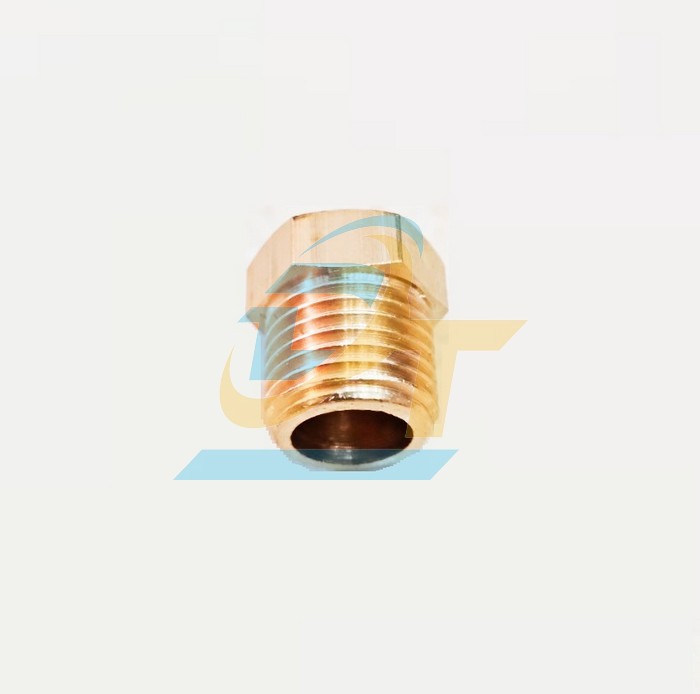 Nắp b&iacute;t ren ngo&agrave;i đồng thau phi 13  VietNam | Gi&aacute; rẻ nhất - C&ocirc;ng Ty TNHH Thương Mại Dịch Vụ Đạt T&acirc;m