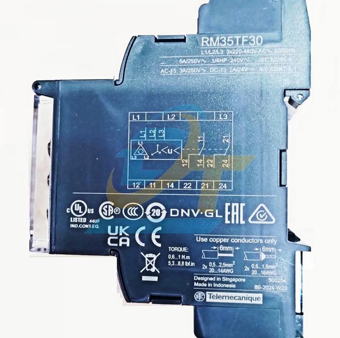 Relay bảo vệ động cơ 3P 5A 250V Schneider RM35TF30  SCHNEIDER | Gi&aacute; rẻ nhất - C&ocirc;ng Ty TNHH Thương Mại Dịch Vụ Đạt T&acirc;m