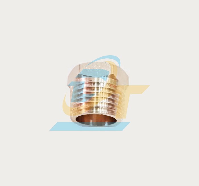 C&agrave; r&aacute; thau PT 1/4"-1/2" (RT 1/4" x RN 1/2")  VietNam | Gi&aacute; rẻ nhất - C&ocirc;ng Ty TNHH Thương Mại Dịch Vụ Đạt T&acirc;m