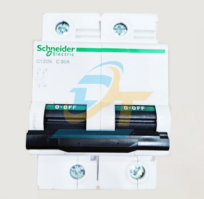 Cầu dao tự động MCB Acti9 2P 80A 10kA Schneider A9N18361 A9N18361 SCHNEIDER | Gi&aacute; rẻ nhất - C&ocirc;ng Ty TNHH Thương Mại Dịch Vụ Đạt T&acirc;m
