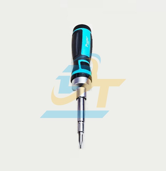 Bộ v&iacute;t 2 đầu 13 chi tiết Pro'skit SD-9821  Pro'skit | Gi&aacute; rẻ nhất - C&ocirc;ng Ty TNHH Thương Mại Dịch Vụ Đạt T&acirc;m