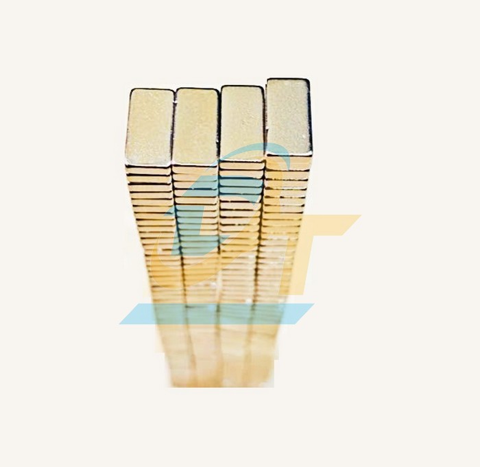 Nam ch&acirc;m vi&ecirc;n 10x5x2mm  VietNam | Gi&aacute; rẻ nhất - C&ocirc;ng Ty TNHH Thương Mại Dịch Vụ Đạt T&acirc;m