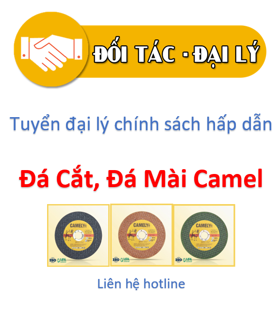 Tuyển Đại L&yacute;