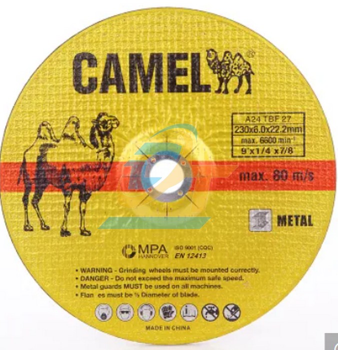 Đ&aacute; m&agrave;i Camel, sản phẩm thịnh h&agrave;nh trong tương lai?